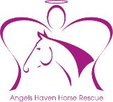 Angel's Haven Horse Rescue Information.